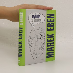 náhled knihy - Myšlenky za volantem