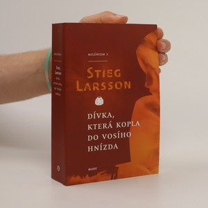náhled knihy - Dívka, která kopla do vosího hnízda : Milénium 3
