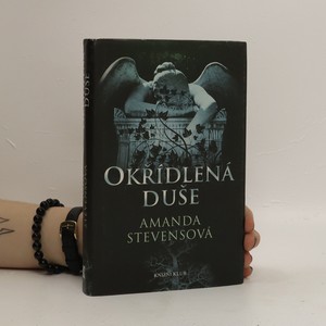 náhled knihy - Okřídlená duše