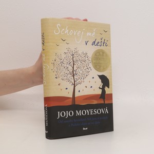 náhled knihy - Schovej mě v dešti