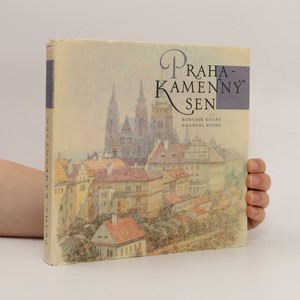 náhled knihy - Praha - kamenný sen