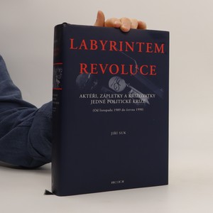 náhled knihy - Labyrintem revoluce. Aktéři, zápletky a křižovatky jedné politické krize (od listopadu 1989 do června 1990)