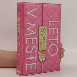 náhled knihy - Leto v meste