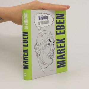 náhled knihy - Myšlenky za volantem