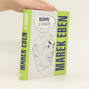 náhled knihy - Myšlenky za volantem