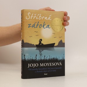 náhled knihy - Stříbrná zátoka