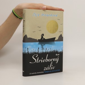 náhled knihy - Strieborný záliv