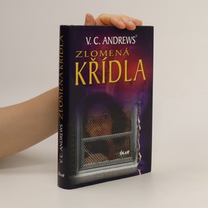 náhled knihy - Zlomená křídla