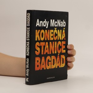 náhled knihy - Konečná stanice Bagdád. Skutečný příběh osmi britských válečných hrdinů.