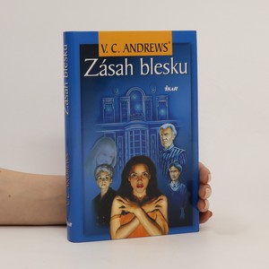 náhled knihy - Zásah blesku