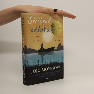 náhled knihy - Stříbrná zátoka