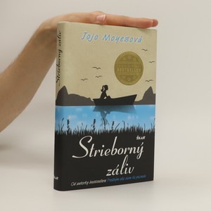 náhled knihy - Strieborný záliv