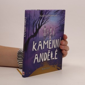 náhled knihy - Kamenní andělé