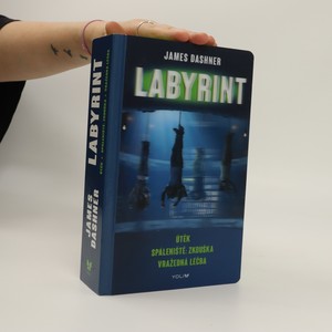 náhled knihy - Labyrint