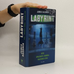 náhled knihy - Labyrint