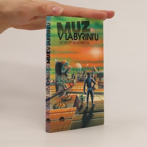 náhled knihy - Muž v labyrintu