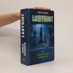 náhled knihy - Labyrint