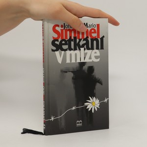 náhled knihy - Setkání v mlze